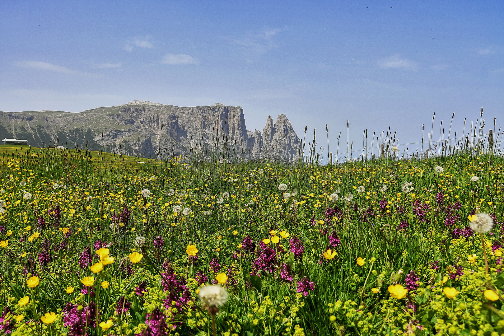 Seiser Alm - Blick zum Schlern