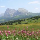 Seiser Alm - Blick zur Langkofelgruppe