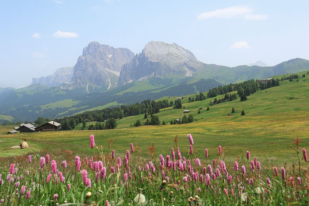 Seiser Alm - Blick zur Langkofelgruppe