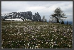 Seiser Alm - diesmal in Farbe