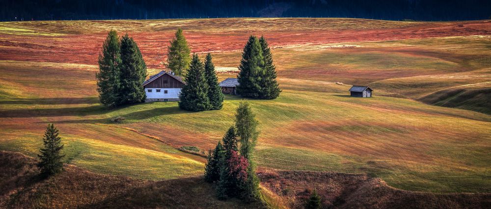 Seiser Alm- Dolomiten