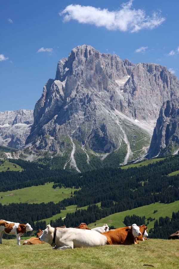 Seiser Alm I / Alpe di Siusi I