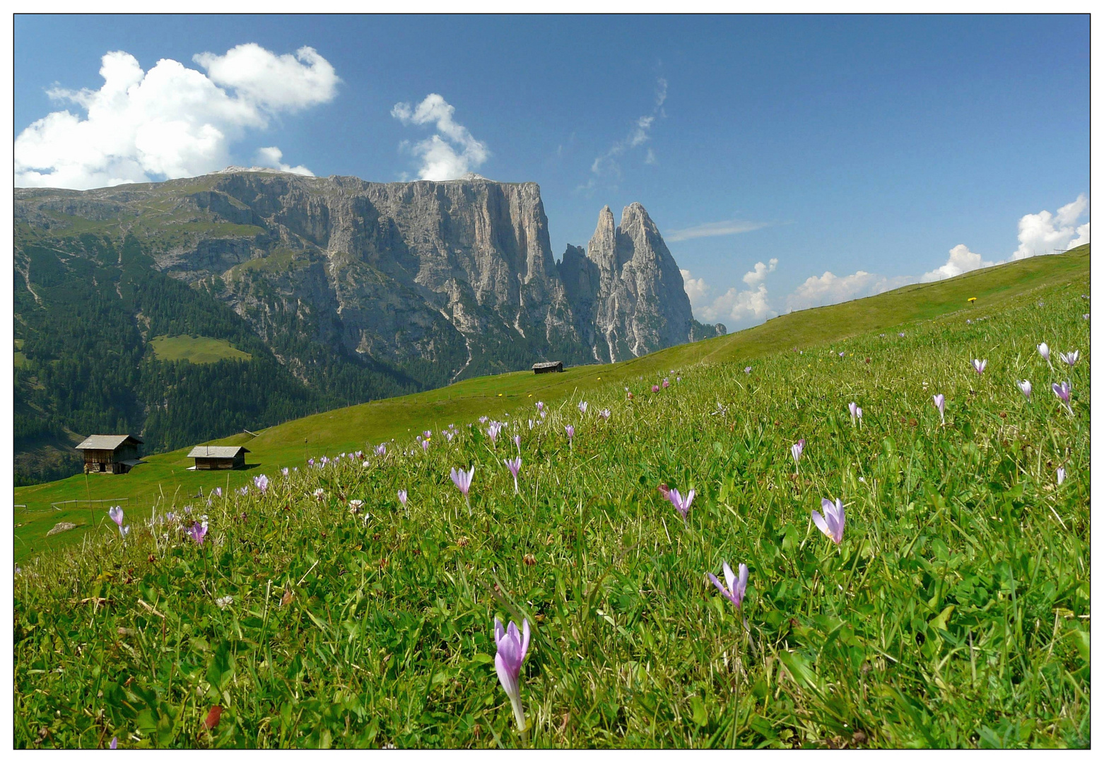 Seiser Alm im Frühling