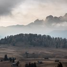 Seiser Alm  im Nebel I