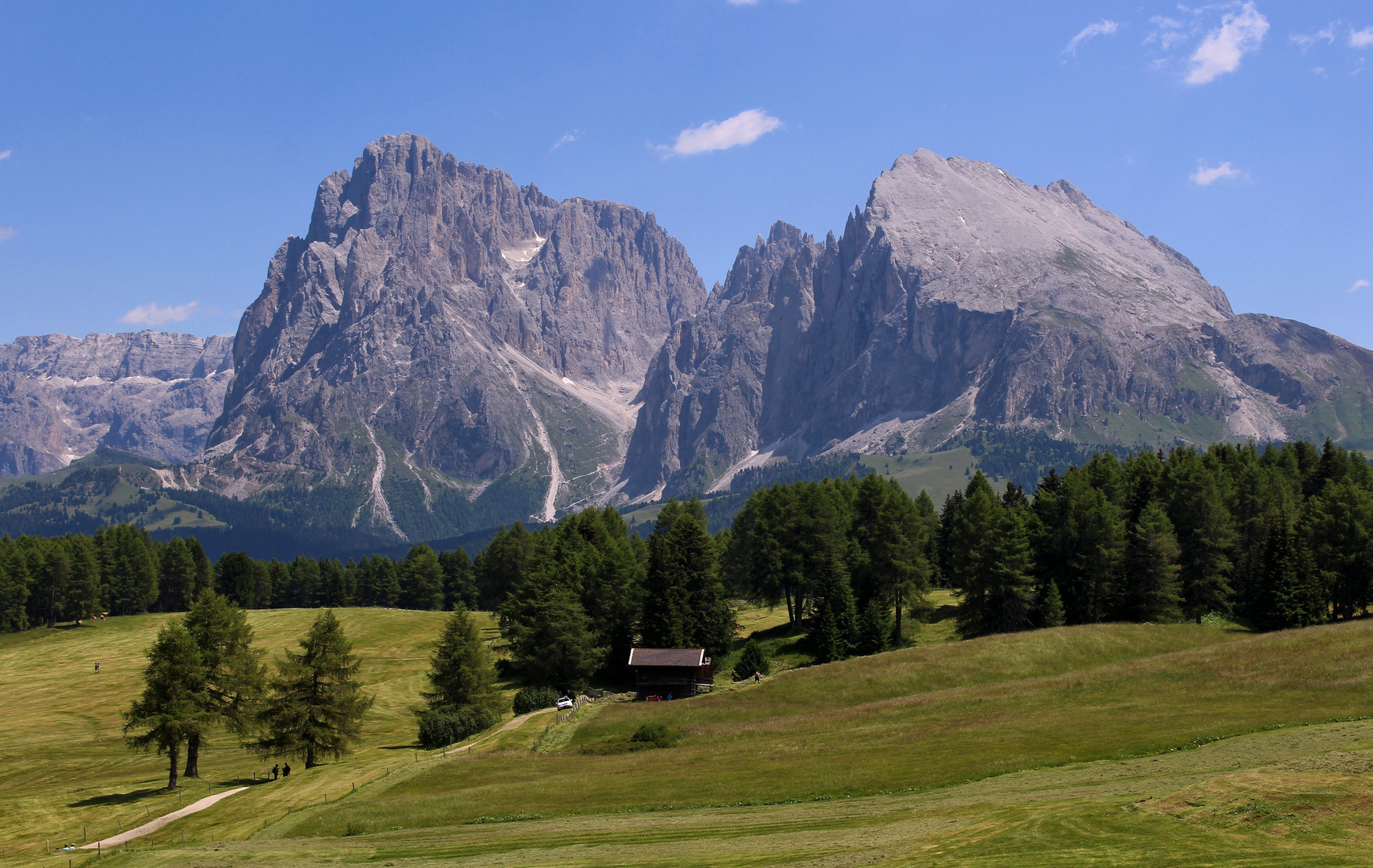 Seiser Alm im Sommer