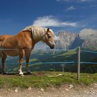 Seiser Alm; immer eine Reise wert