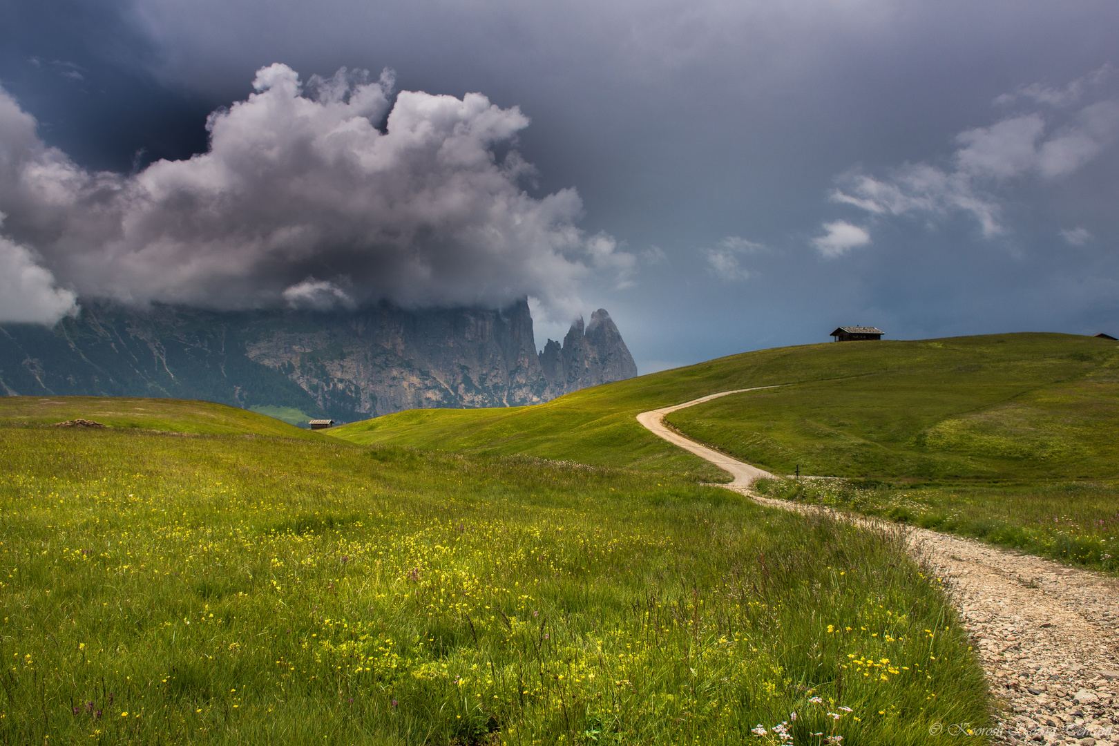 Seiser Alm, Italy