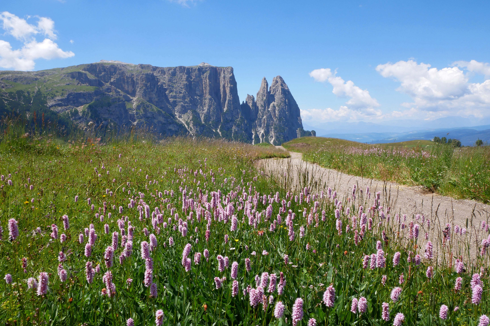 Seiser Alm mit Blick zum Schlern