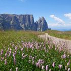 Seiser Alm mit Blick zum Schlern