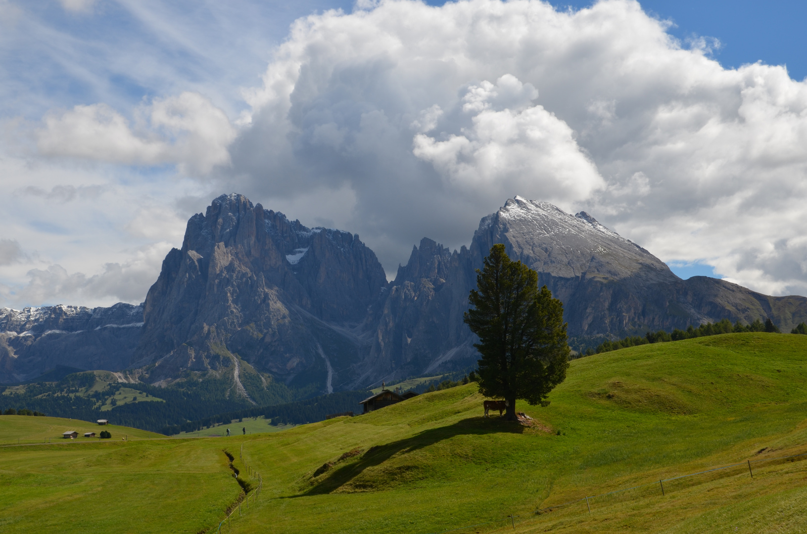 Seiser Alm mit Langkofel-Gruppe