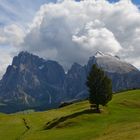 Seiser Alm mit Langkofel-Gruppe