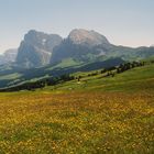 Seiser Alm mit Langkofel und Plattkofel