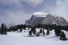 Seiser Alm - Plattkofel & Langkofel