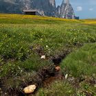 Seiser Alm - Schlern - Santner Spitzen