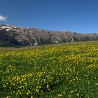 Seiser Alm - Schlern - Santner Spitzen