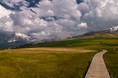 Seiser Alm , Südtirol