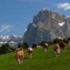 Seiser Alm (Südtirol)