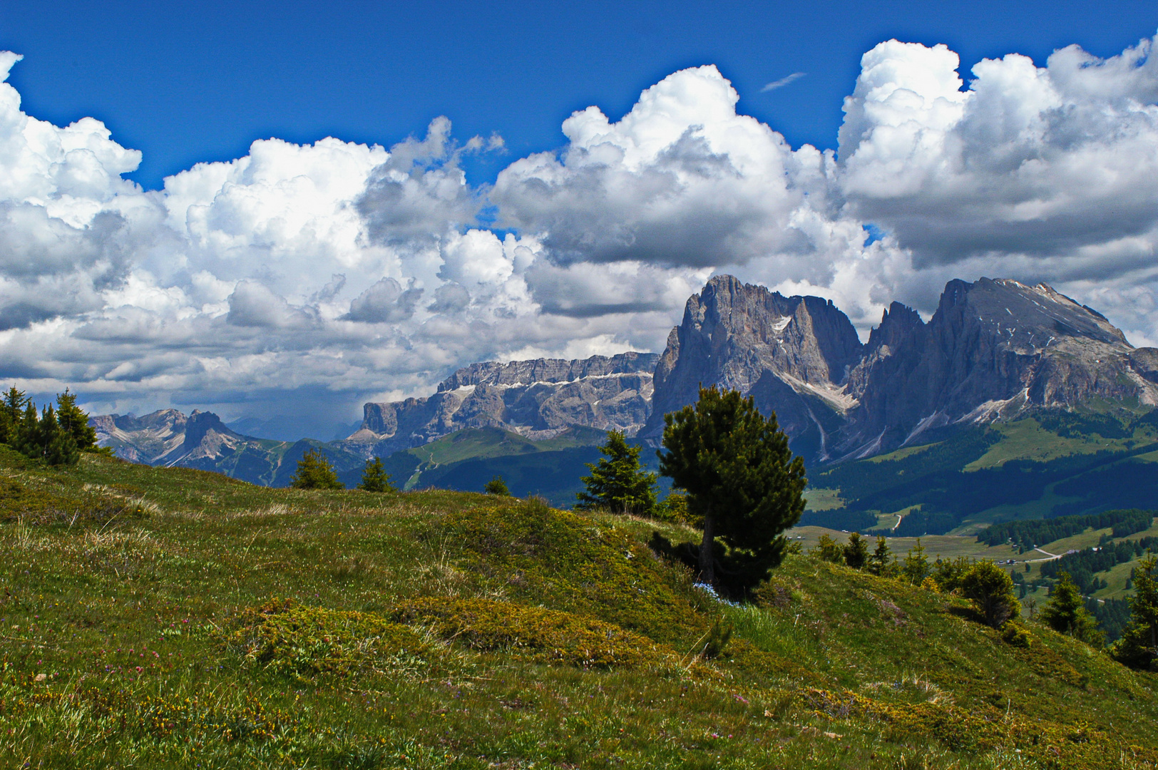 Seiser Alm View Langkofel Sella