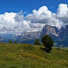 Seiser Alm View Langkofel Sella