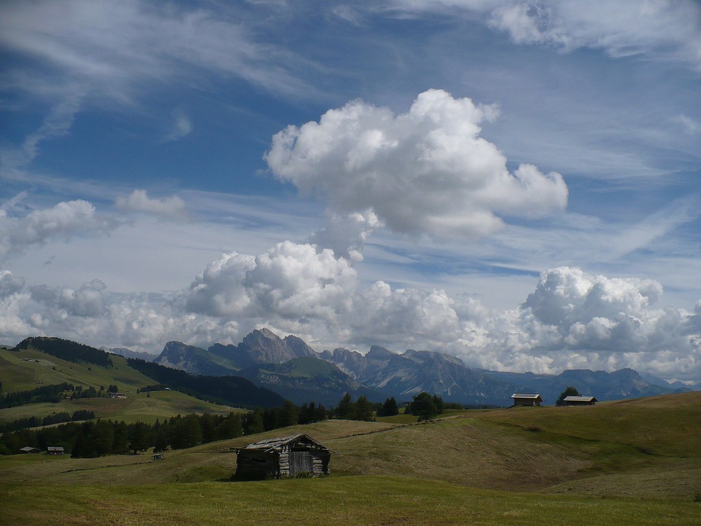 seiseralm, altopiano dello sciliar (alto adige)