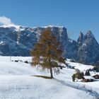 Seiseralm: der Herbst trifft den Winter