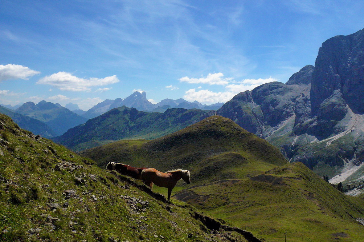 Seiseralm Impressionen - Blick übers Fassatal