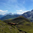 Seiseralm Impressionen - Blick übers Fassatal