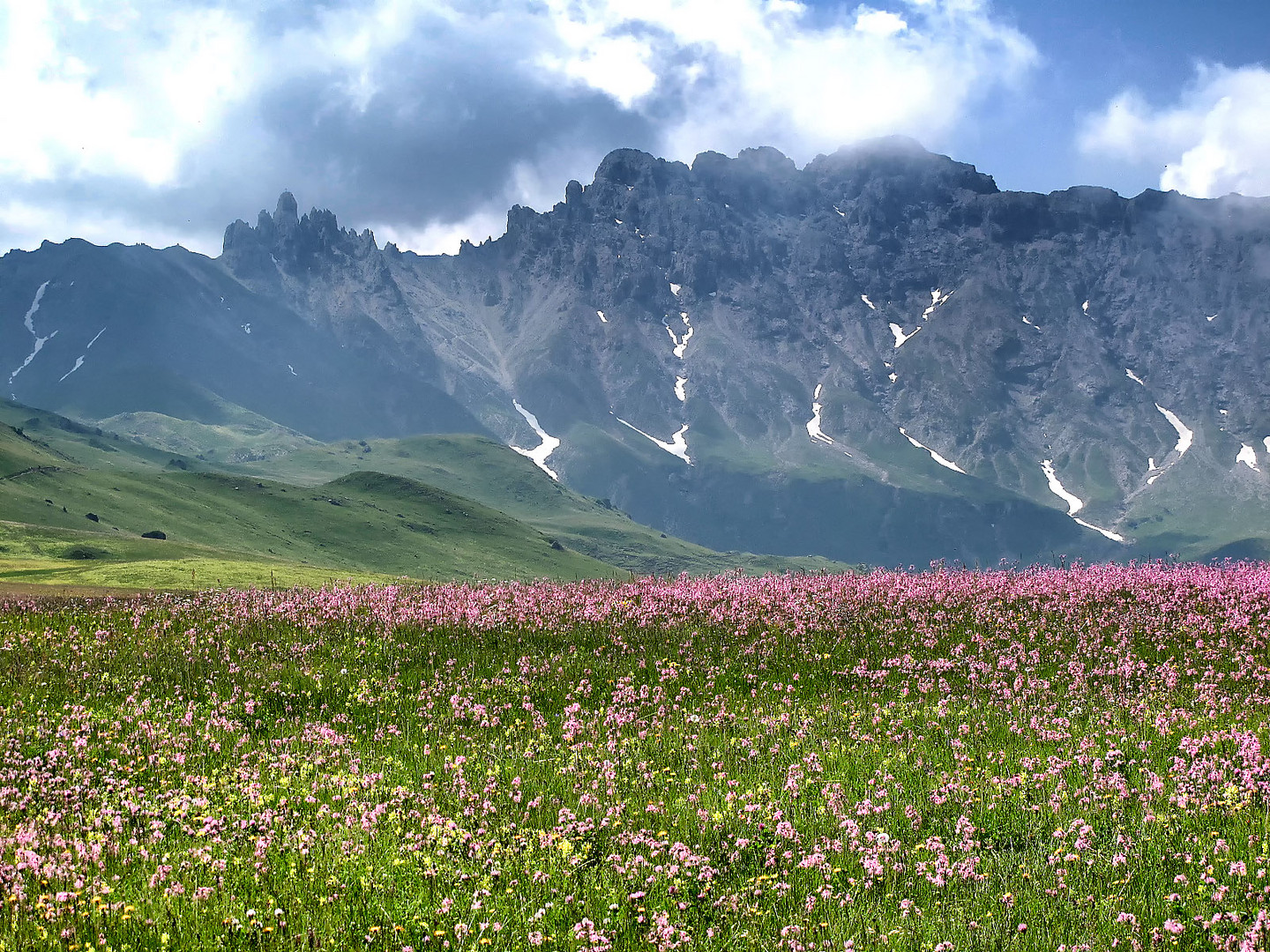 Seiseralm Roßzähne