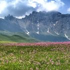 Seiseralm Roßzähne