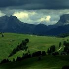 Seiseralm/Dolomiten