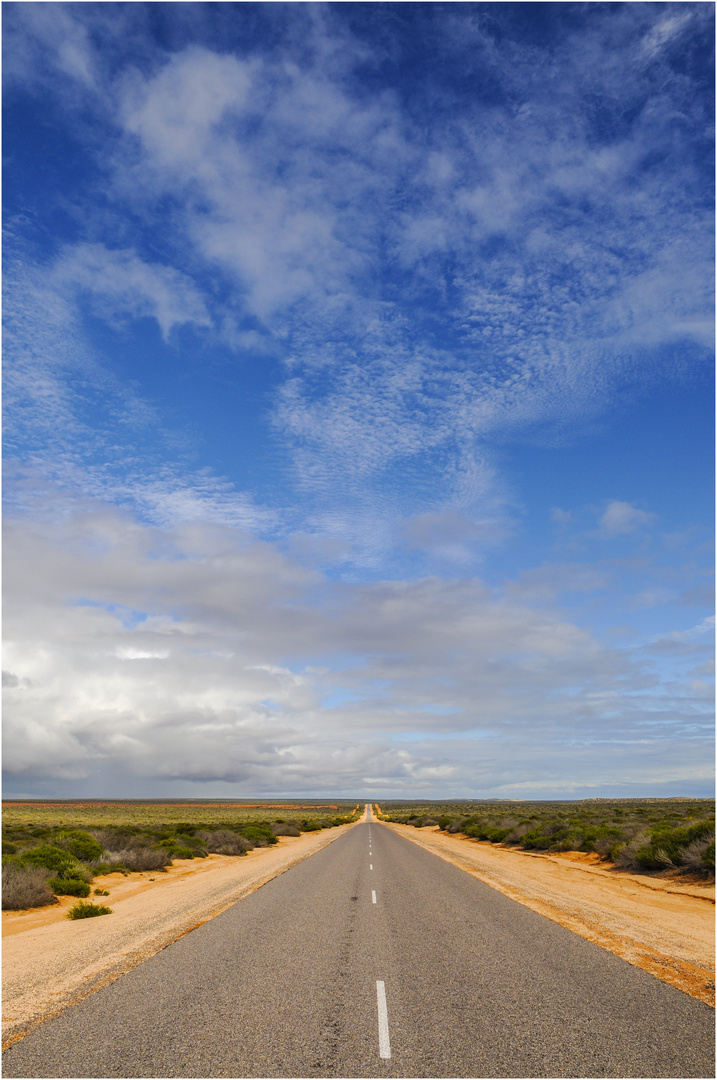 Seit 600 km kein Auto gesehen - Westaustralien, 2008