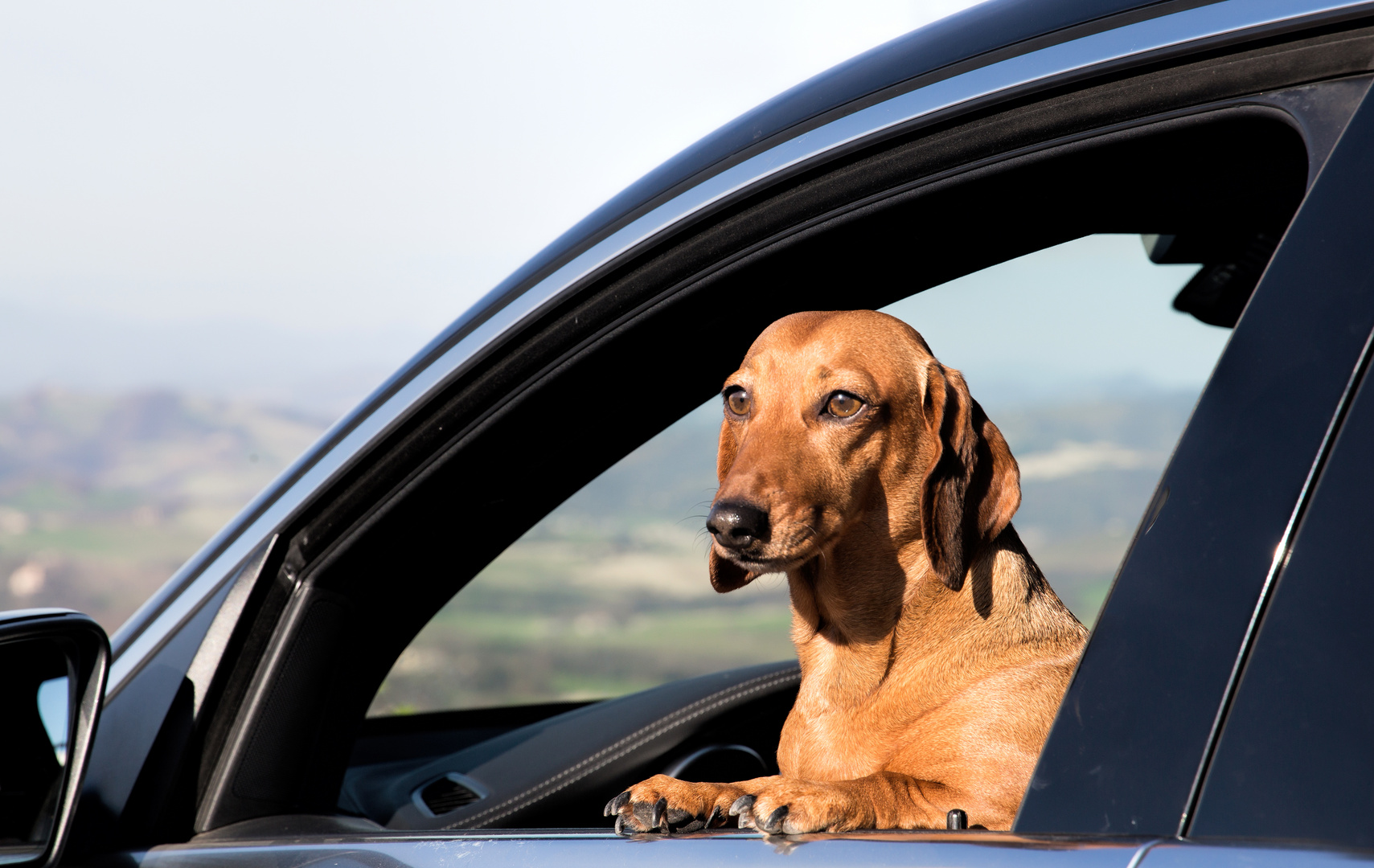 seit ich den Fuehrerschein habe, habe ich auch den Durchblick:-))