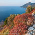 Seitani coast / Samos 2011