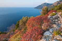 Seitani coast / Samos 2011