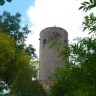 Seitenansicht der Burg Münzenberg