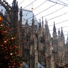 Seitenansicht Kölner Dom