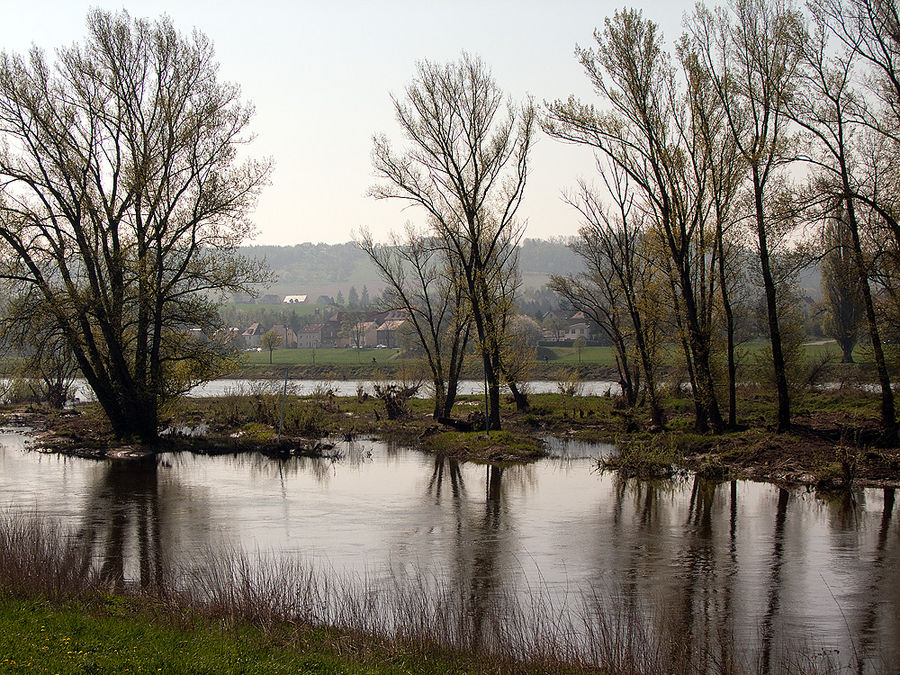 Seitenarm der Elbe