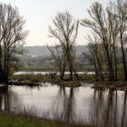 Seitenarm der Elbe