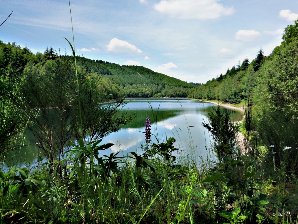 Seitenarm der Obernautalsperre