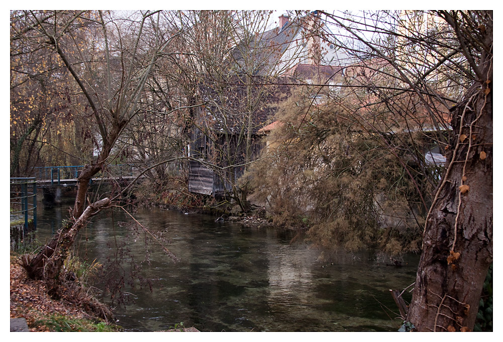 Seitenarm der Steyr