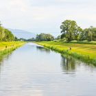 Seitenarm vom Rhein