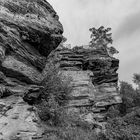  Seitenblick Winschertfelsen 