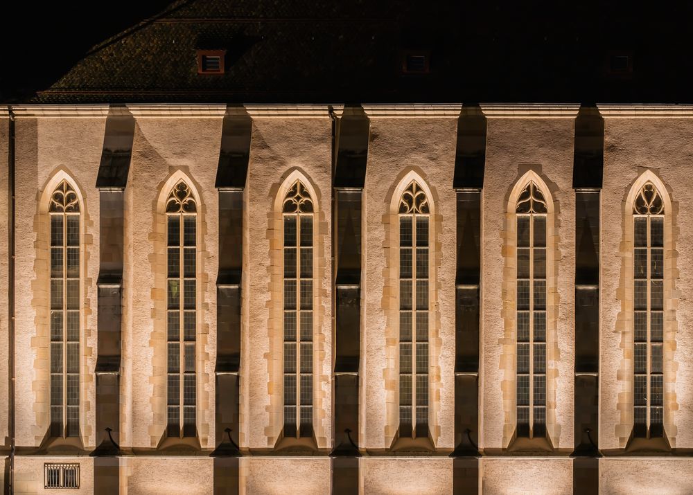 Seitenfassade der Wasserkirche, Zürich