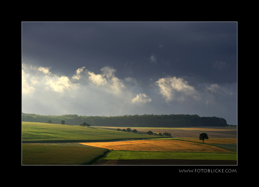 Seitenlicht