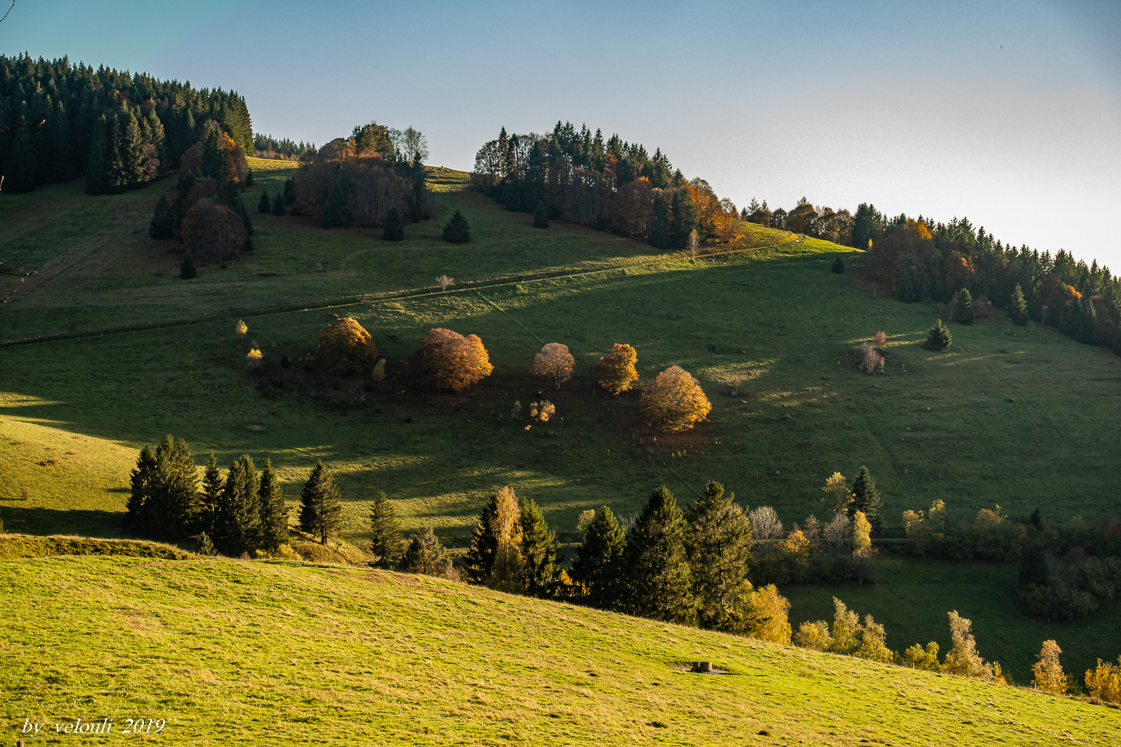 Seitenlicht