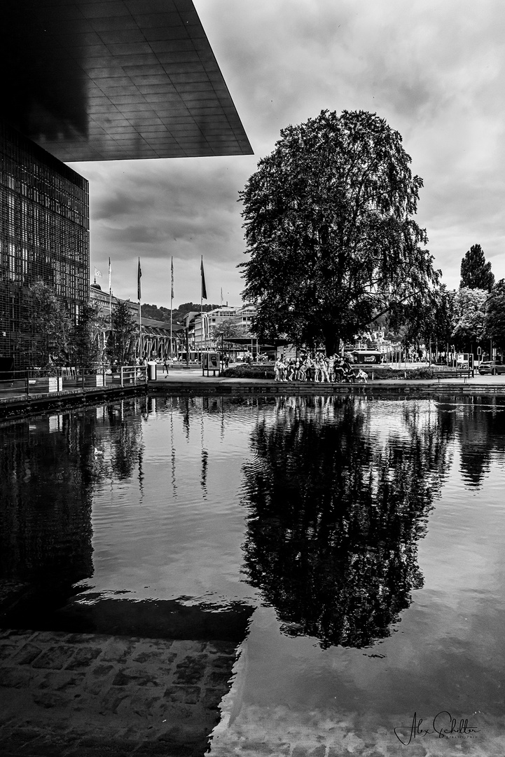 "...Seitensprünge... in Luzern..."