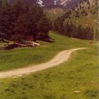 Seitental vom Etschtal (Südtirol)