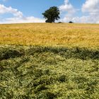 Seitenwind im Kraichgau