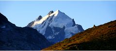 Seitliches Murmeltier, mögliche Aufstiegsrouten am mittigen Piz Roseg studierend