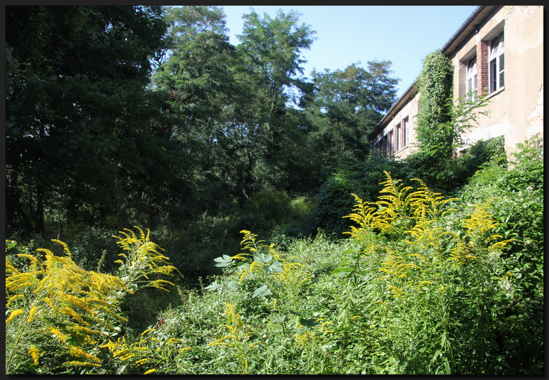 ...seitwärts durch die Büsche schlagen...